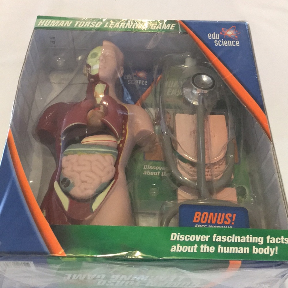 Human Torso learning Game Working stethoscope NEW A must for Future biology/Med